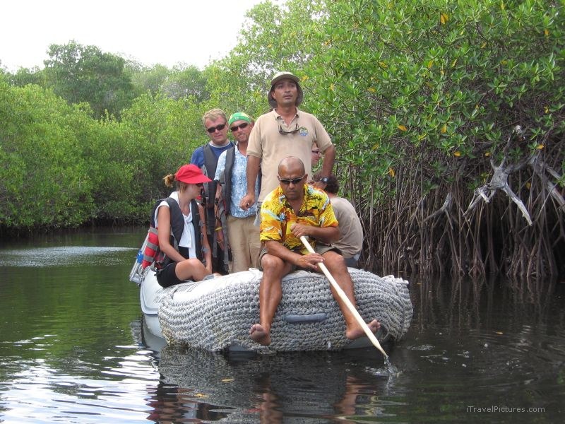 Elizabeth dinghy group paddling